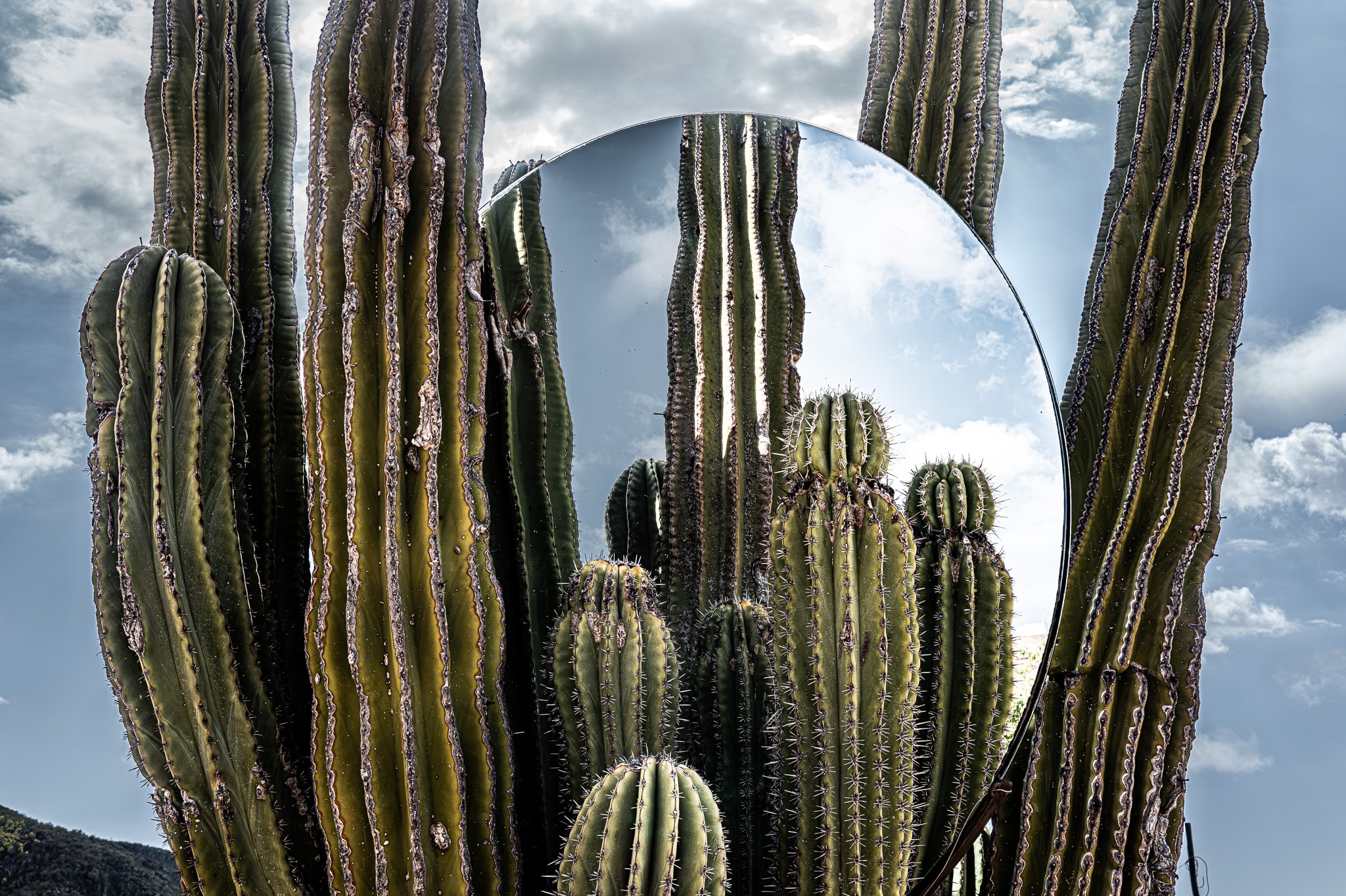 Photography by Erika Raynal