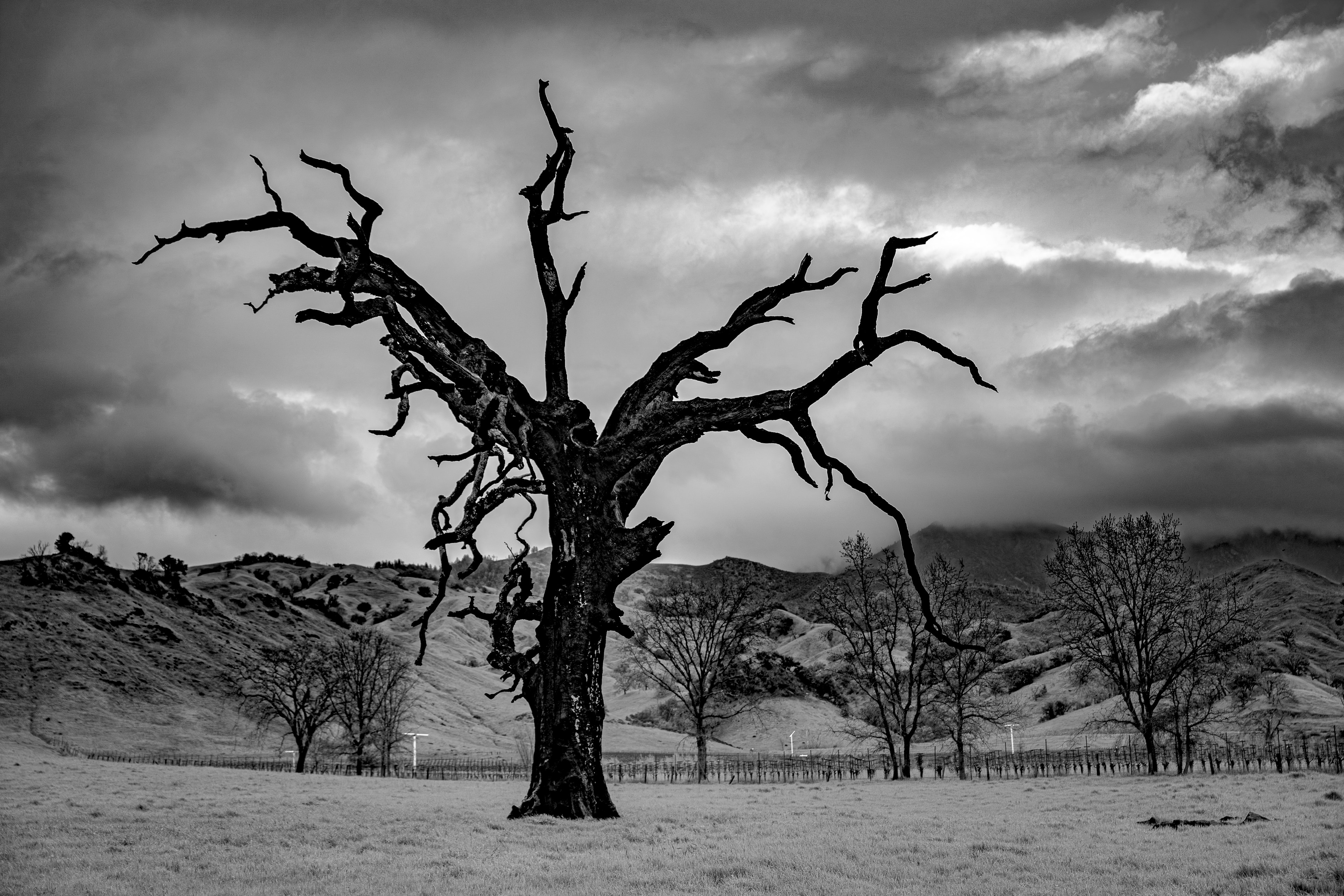 Photography by Erika Raynal